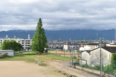 DSC_0489