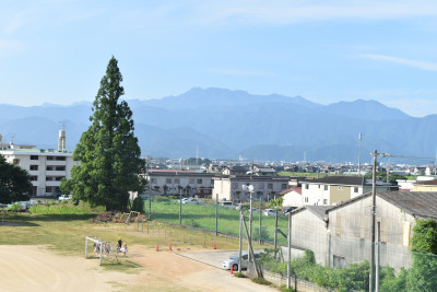 DSC_0600