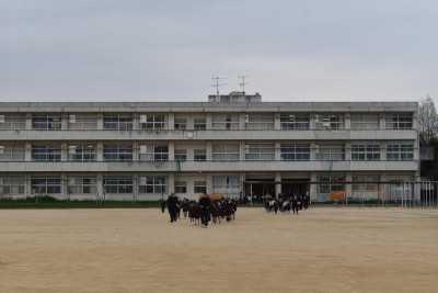 DSC_0242