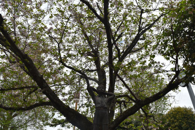 DSC_0302