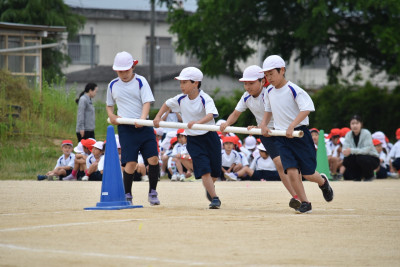 6d6607dc-98b1-4515-b80e-fe80c79683bf