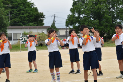 d54544cf-0aa4-47cd-b06b-a95326b78bc8