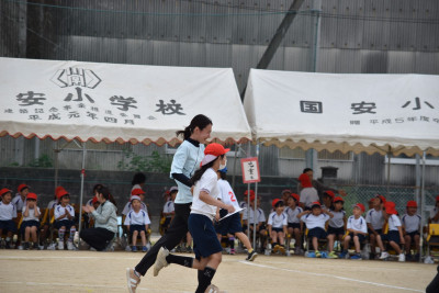 598024f5-def4-430e-928c-090d2ea04bdb