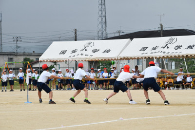 79ae4d88-cd4f-41d0-b41e-4ee393e74d15