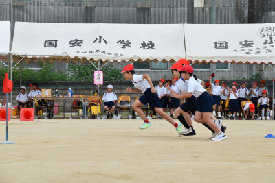 86070ccc-674d-43d7-a582-0f41899454ba